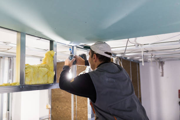 Best Professional Insulation Contractor  in Lehighton, PA